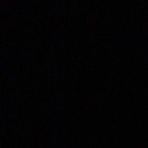 Meet your Posher, Isabella